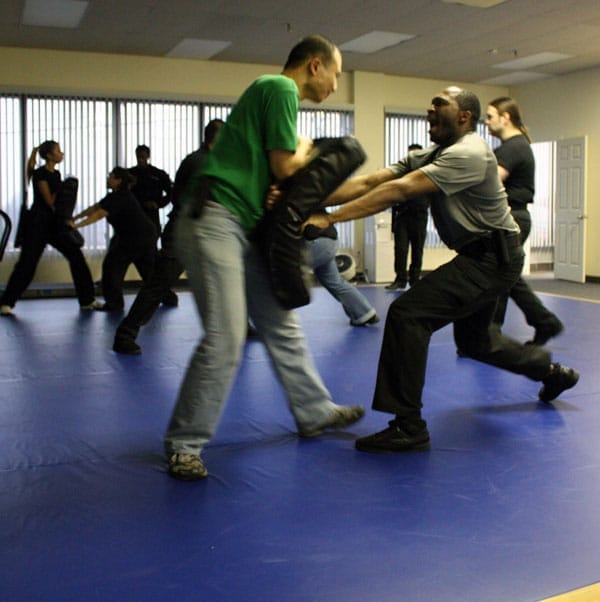 security career-condor security (Use Of Force Training)