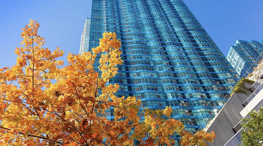 evaluation - Condor Contractor Security Contractor Performance Evaluation